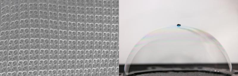 Two scientific pictures