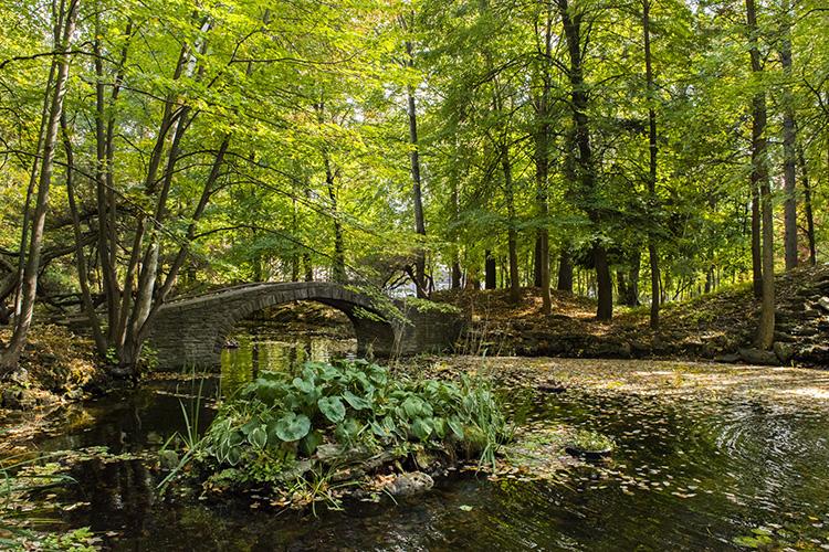 A stone bridge arches over a leaf-strewn pond in a leafy forest.