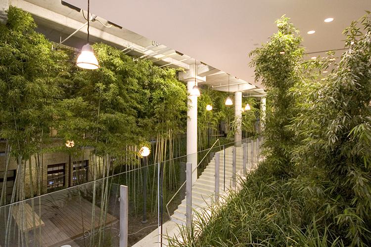 The central atrium of a building is filled with tall, feathery bamboo plants, lit with lamps.