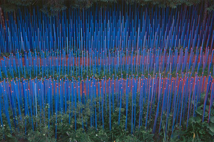 Hundreds of thin sticks in a bright blue colour poke up between plants in a garden.