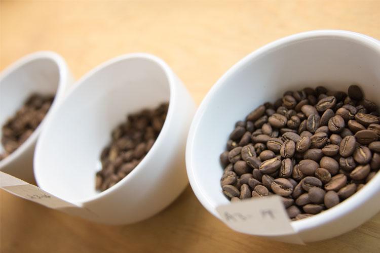 Samples of coffee beans from different parts of the roasting process (photo by Romi Levine)