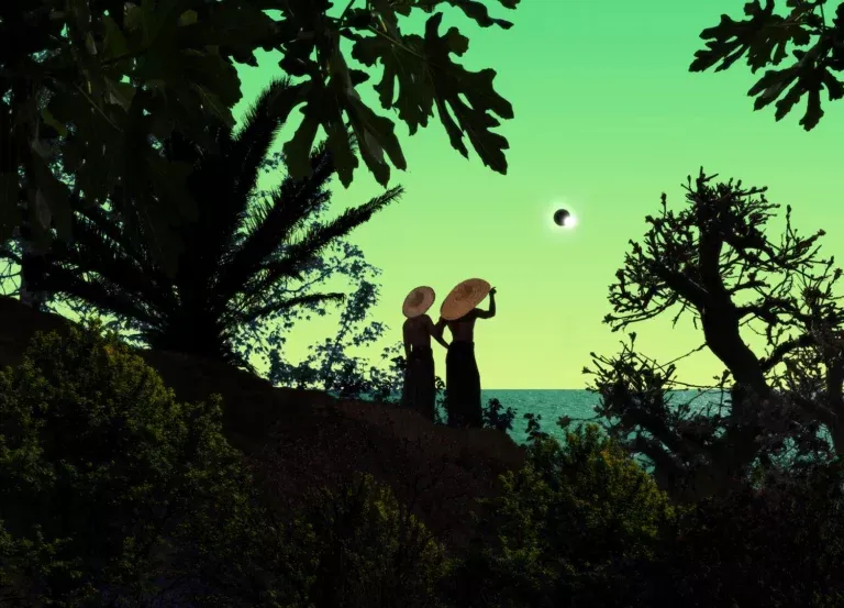 Two people in a jungle looking out over a body of water