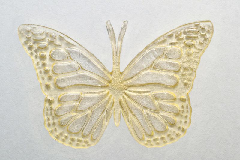 A butterfly 3D printed from fat has raised markings tracing its shape and wing pattern.
