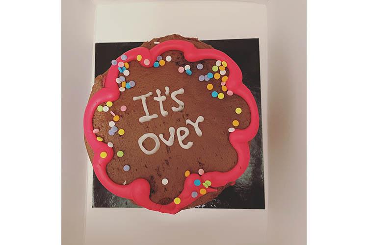Elspeth's chocolate cake decorated with sprinkles and the words "It's over"
