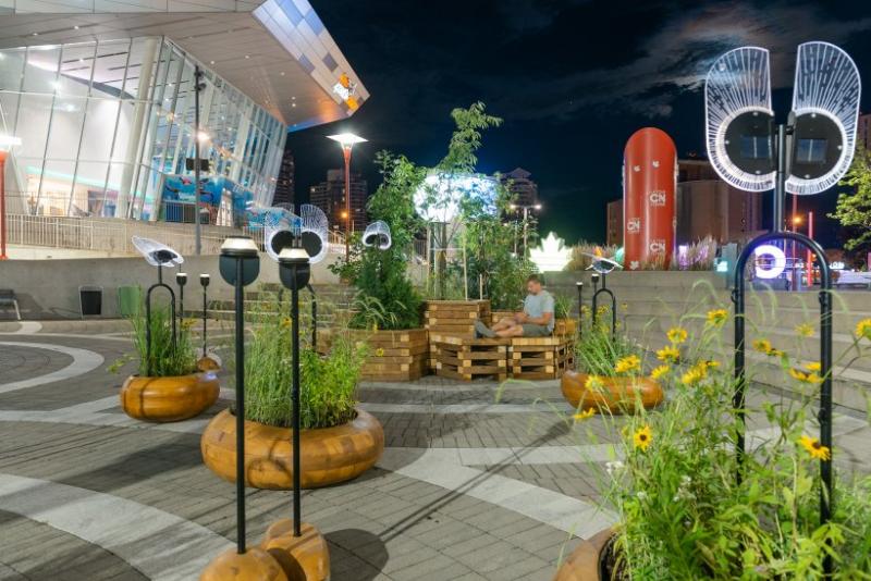 At night, a man reads in a well-lit plaza scattered with wooden benches, trees and tall yellow daisies in planters.