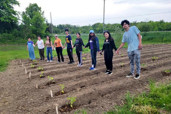 Smiling people reach out to hold hands in a long line across a newly planted squash field.