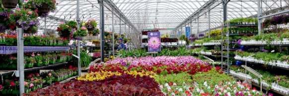 York Region, ON: Edible Gardening Workshop