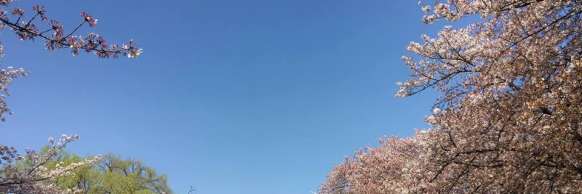 Tokyo, JP: Alumni & Friends Spring Gathering