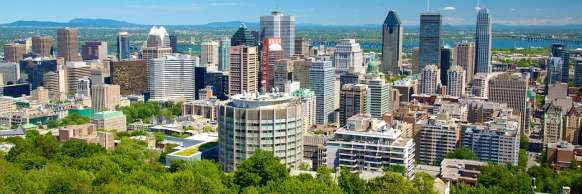 Montreal, QC: Mount Royal Hike & Picnic