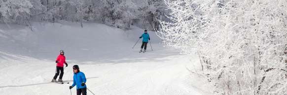 Simcoe County, ON: Alumni & Friends Ski Day