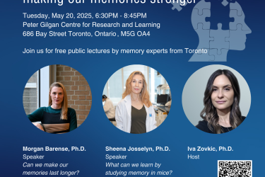 Public lecture on memory