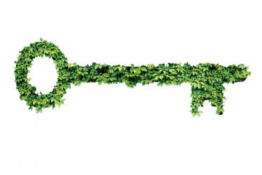 Key made of ivy