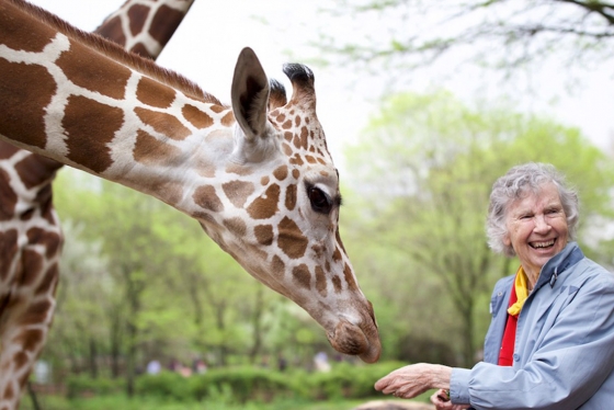 Anne Innis Dagg, seen here at the Brookfield Zoo in Chicago feeding a giraffe (photo by Elaisa Vargas) 