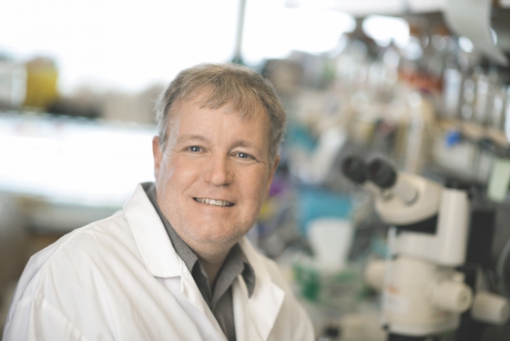 Jeffrey Wrana is a professor in the department of molecular genetics at U of T and a senior investigator at Sinai Health System’s Lunenfeld-Tanenbaum Research Institute (photo by Annie Tong/Sinai Health System) 