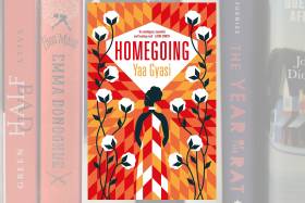 Picture of Homegoing
