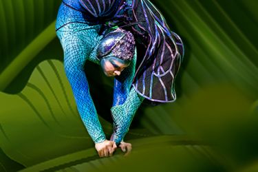 Acrobat in costume in handstand on a leaf