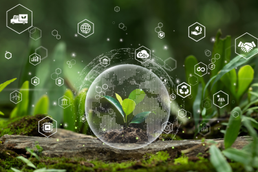 A small green plant growing from soil on a forest floor, surrounded by digital eco-themed icons and a transparent globe overlay, symbolizing climate action and environmental sustainability