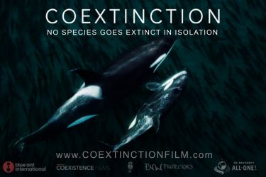 Movie Poster for "Coextinction" with the text "No species goes extinct in isolation"