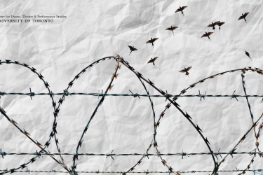 12 black birds soaring above a barbed wire fence