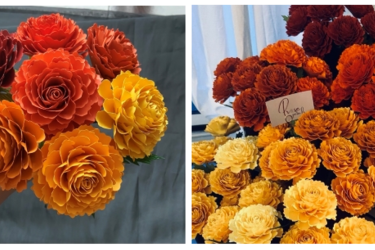 Paper Flowers - Marigold Bouquets