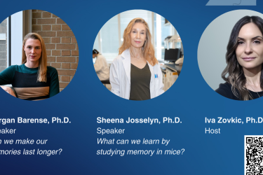 Public lecture on memory