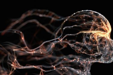 Image of a futuristic skull in profile outlined in fibre optic cables