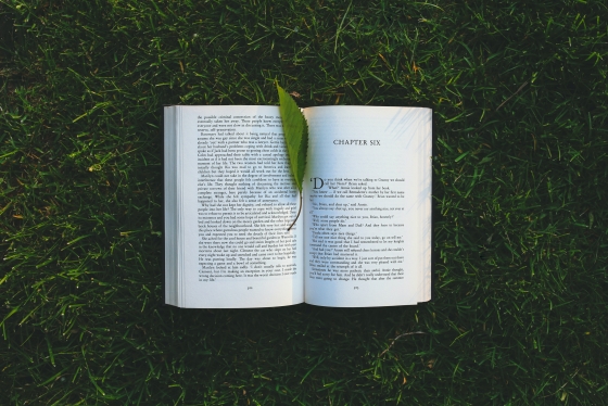 Book on green grass with green leaf in centre as bookmark