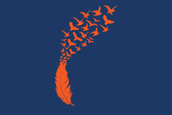 Blue background with an orange feather that is changing into birds