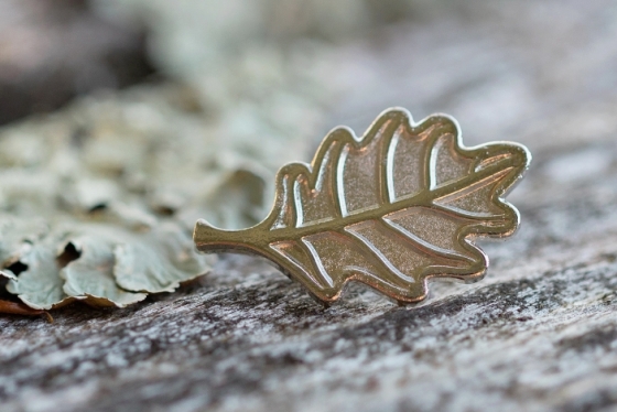 A Arbor Award pin, shaped like an oak leaf, rests on a lichen-covered log.