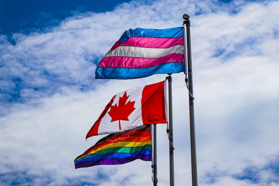 The rainbow Pride flag, the Canadian flag, and the striped Transgender Pride flag fly on three poles against a sunny sky.