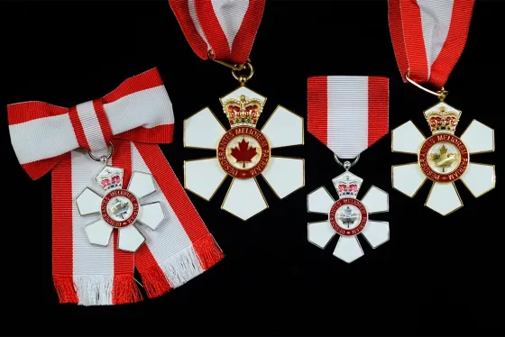 Order of Canada medals on a black surface