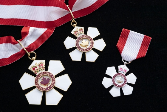 The six-petaled Order of Canada medal contains a crown, a maple leaf, and the words: Desiderantes meliorem patriam