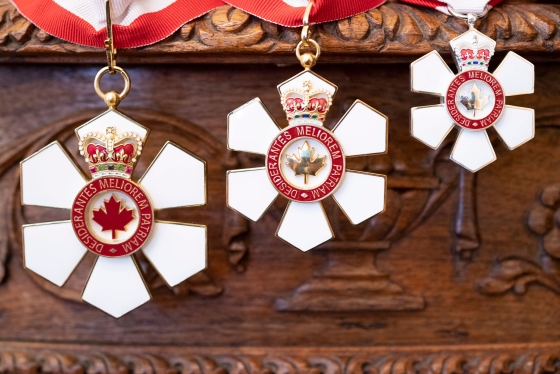 Three Order of Canada medals: six white petals surround a maple leaf and crown hub.