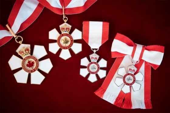 Order of Canada medals on a red surface