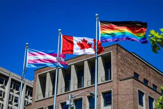 The striped trans flag, the Canadian flag and the rainbow Pride flag with black and brown stripes added, fly side by side.