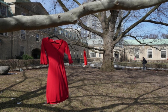 Red dresses, symbolizing missing and murdered Indigenous women and girls, decorate trees in a grassy courtyard at U of T.
