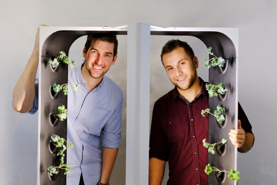Conner Tidd and Kevin Jakiela peek through a frame with tiny kale plants growing on its sides.