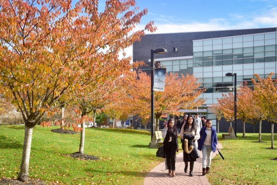 Three students smile as they walk abreast down a tree-lined path in front of a modern building.
