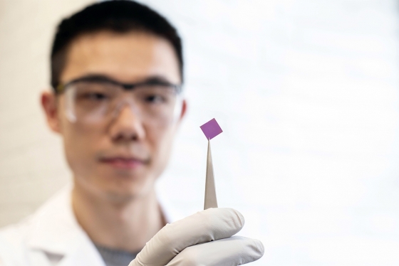 Teng Cui uses tweezers to hold up a half-centimetre-square silicon chip.
