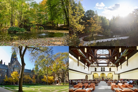 A grid of images showing a pong in Mississauga, a boardwalk in Scarborough, a garden quad and a library room with skylight.