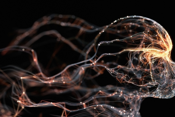 Image of a futuristic skull in profile outlined in fibre optic cables
