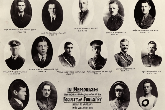 In Memoriam Graduates and Undergraduates of the Faculty of Forestry killed in Action in the War of 1914-1918. Courtesy U of T Archives A1972-0025/006 [P006.101].