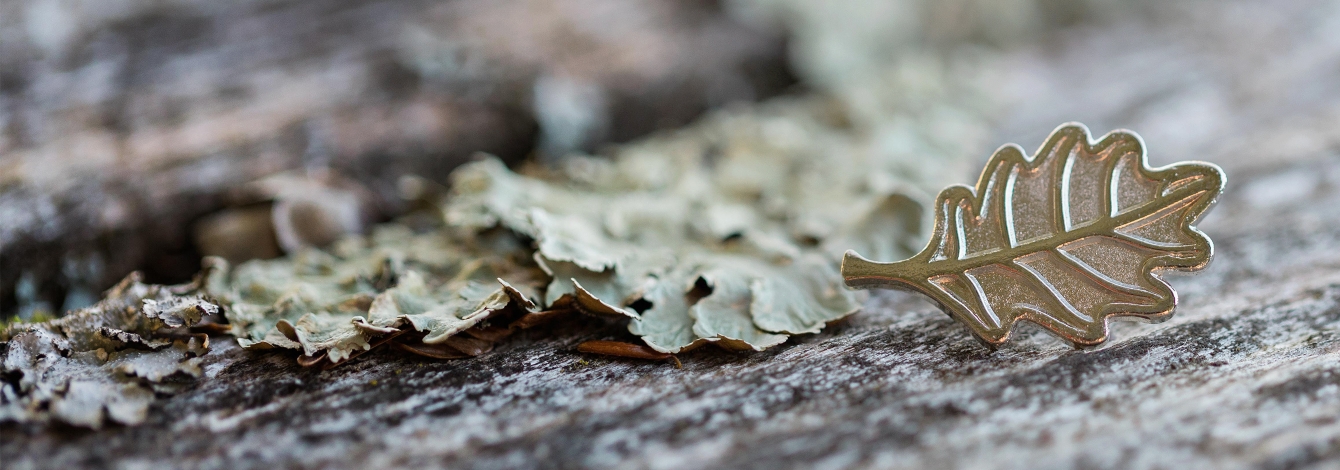 Arbor Pin on top of leafs