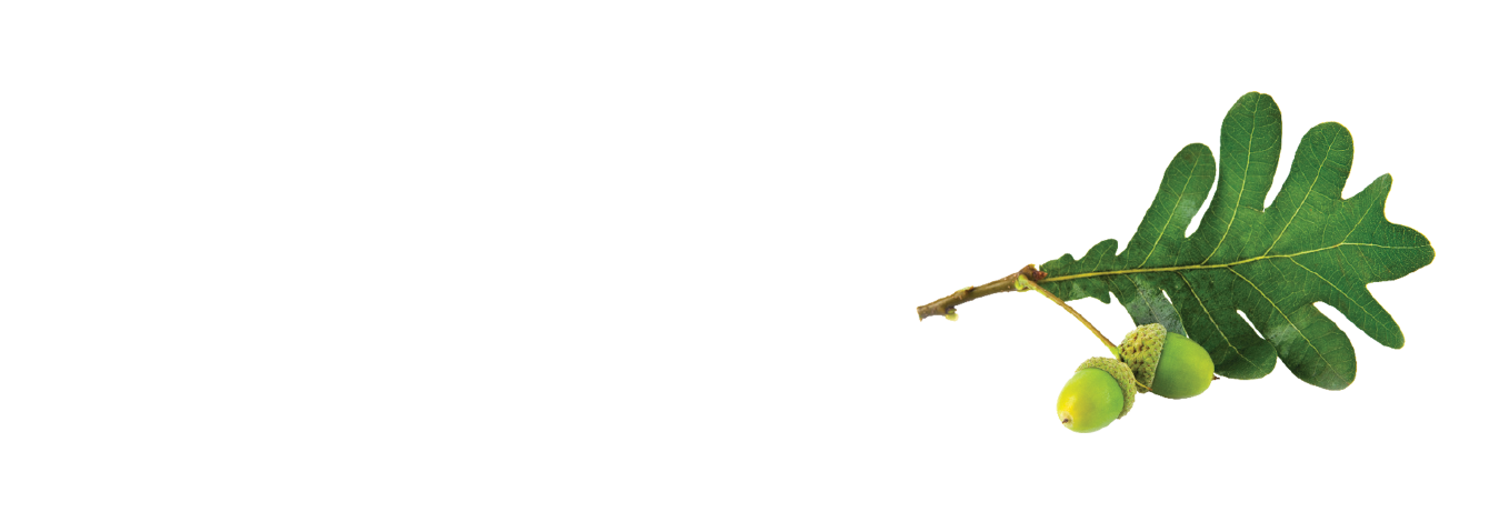 Oak leaf