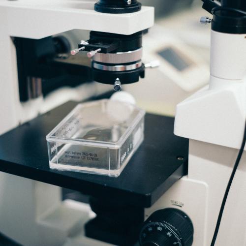 Lab Gear.
