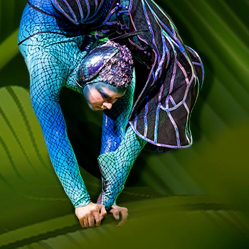 Acrobat in costume in handstand on a leaf