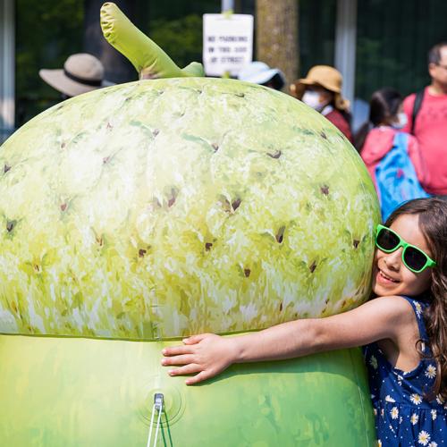 Young girl hugging giant acorn.