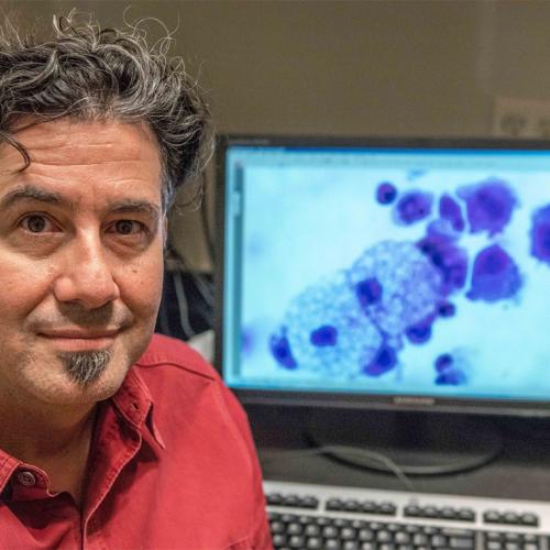 Derrick Rossi smiles as he looks up from a computer screen showing an image of cells.