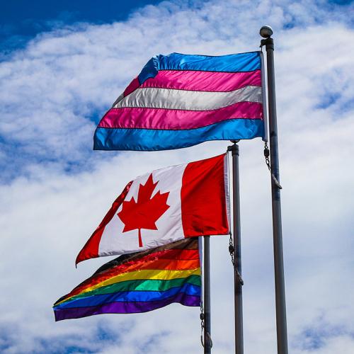 The rainbow Pride flag, the Canadian flag, and the striped Transgender Pride flag fly on three poles against a sunny sky.