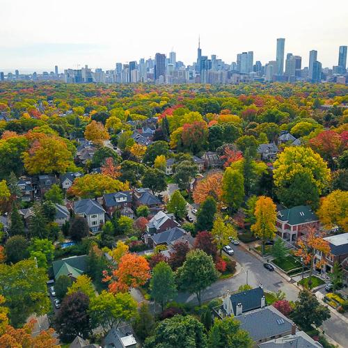 A view of Toronto from above shows a leafy neighbourhood with single houses next to the leafless downtown.
